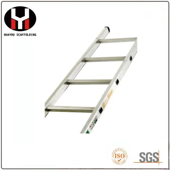 Aluminium-Gerüst-Einzelleiter/Mehrzweck-Aluminiumleiter/gerade Stufenleiter mit EN-Zertifikat